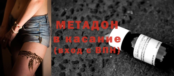 прущие грибы Абаза