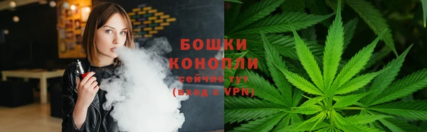 прущие грибы Абаза
