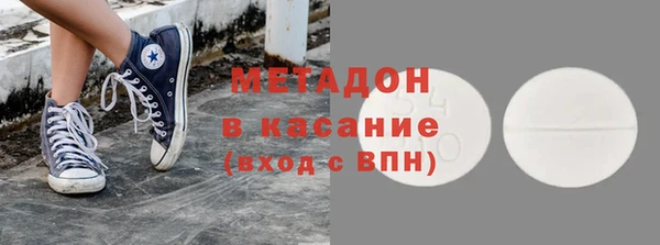 прущие грибы Абаза