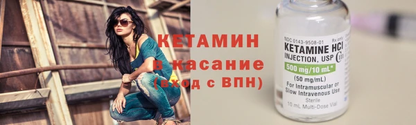 прущие грибы Абаза