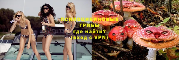 прущие грибы Абаза