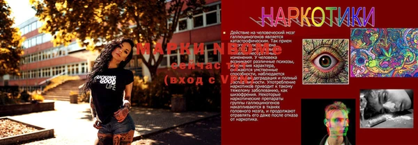 прущие грибы Абаза